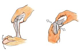 Patellar Luxation in Rabbits (by David Perpinan)